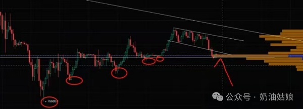 大资金动向揭示：三大潜力币种正获机构青睐