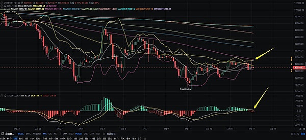 如何通过NFT合约地址精准获取项目数据？一份实用指南