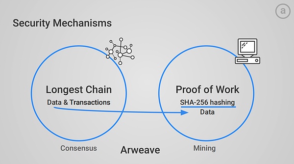 当区块链遇上毛小孩：CoinW在香港用爱心点亮中秋